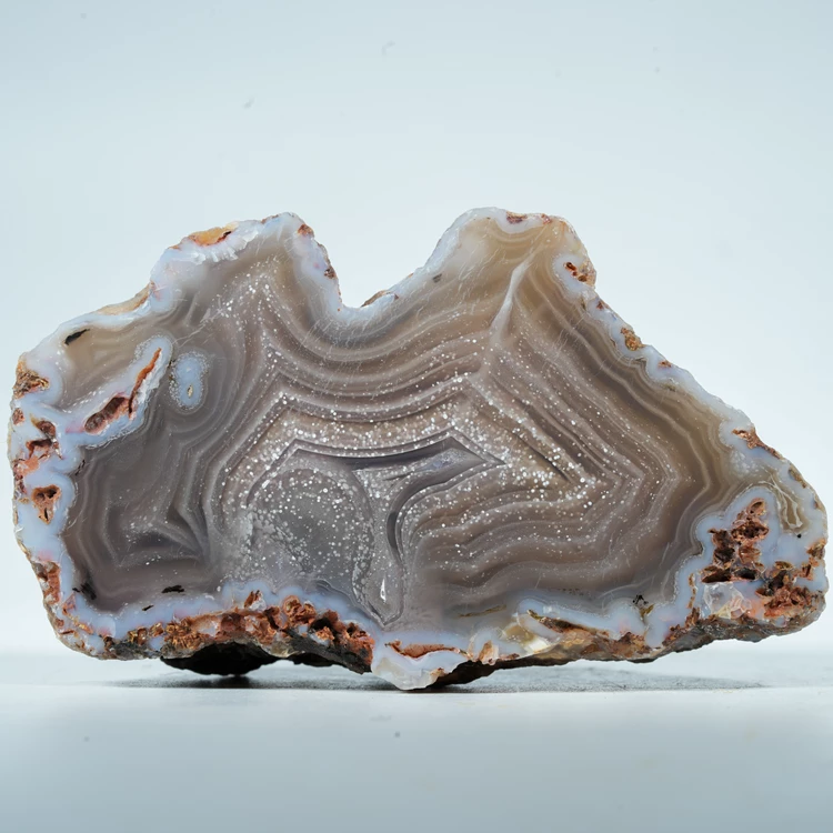 agat-z-meksyku-calandria-mexico (19).webp