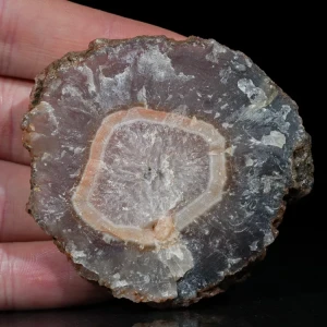 agaty-naturalne-kolekcjonerskie-sarul (86).webp