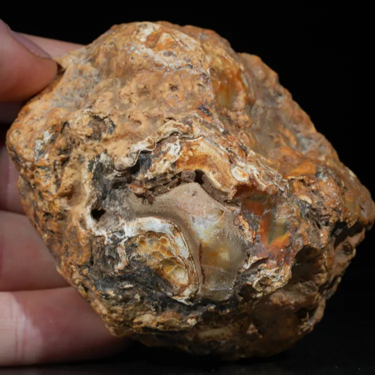 agaty-naturalne-kolekcjonerskie-sarul (129).webp