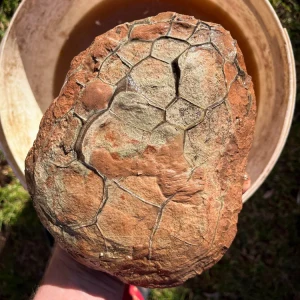 Septarie-surowe-z-nowego-kosciola-septarian-smoczy-kamien (1).webp