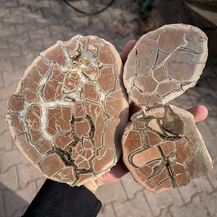 Septarie-surowe-z-nowego-kosciola-septarian-smoczy-kamien (8).webp