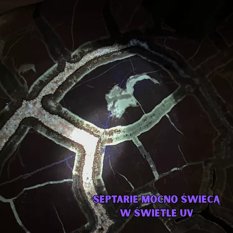 Septarie mocno świecą w świetle UV.webp