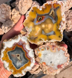 rough-agates-puma-agate-argentina-lapidary-raw (Copy).webp