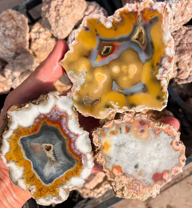 rough-agates-puma-agate-argentina-lapidary-raw (Copy).webp
