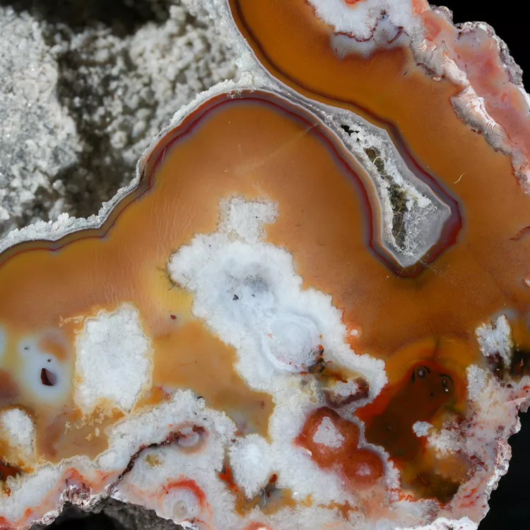 agaty-argentyna-patagonia-puma-agate (19) (Copy).webp