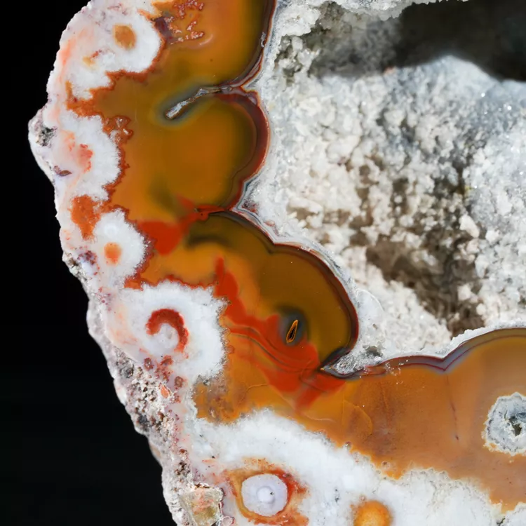 agaty-argentyna-patagonia-puma-agate (20) (Copy).webp