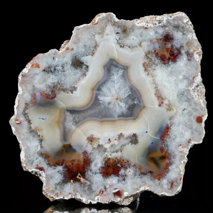 agaty-argentyna-patagonia-puma-agate (54) (Copy).webp
