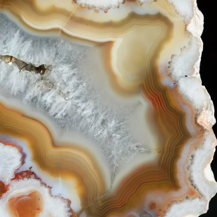 agaty-argentyna-patagonia-puma-agate (82) (Copy).webp