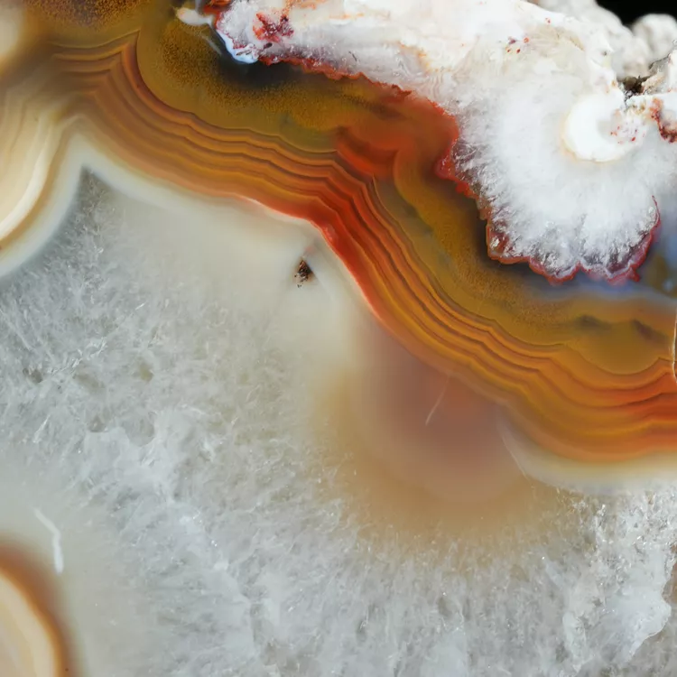 agaty-argentyna-patagonia-puma-agate (84) (Copy).webp
