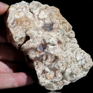 agaty-argentyna-patagonia-puma-agate (85) (Copy).webp