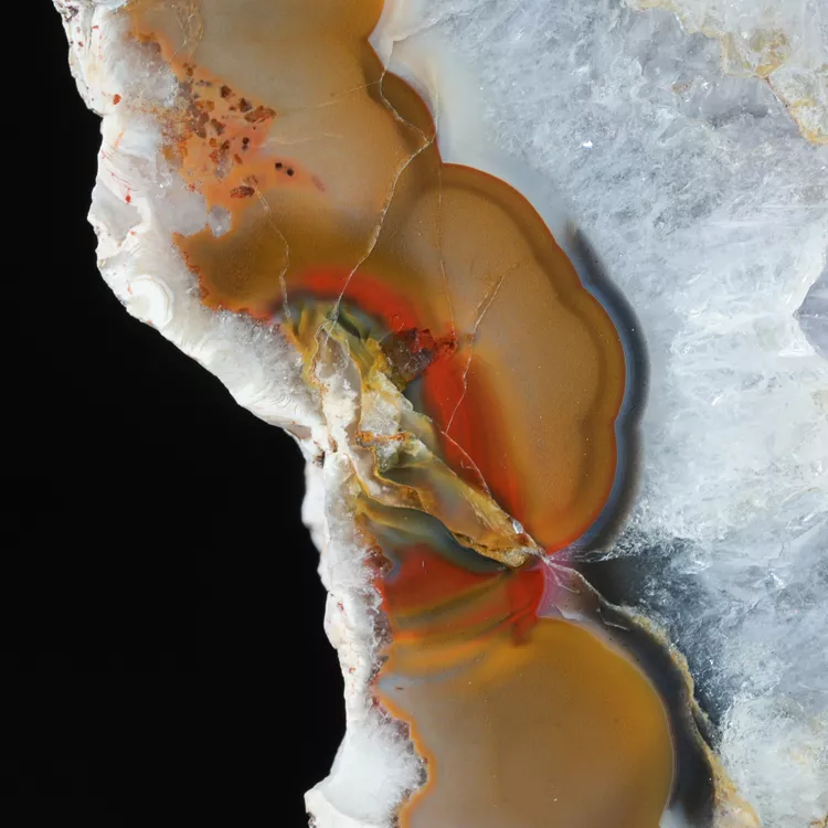 agaty-argentyna-patagonia-puma-agate (79) (Copy).webp
