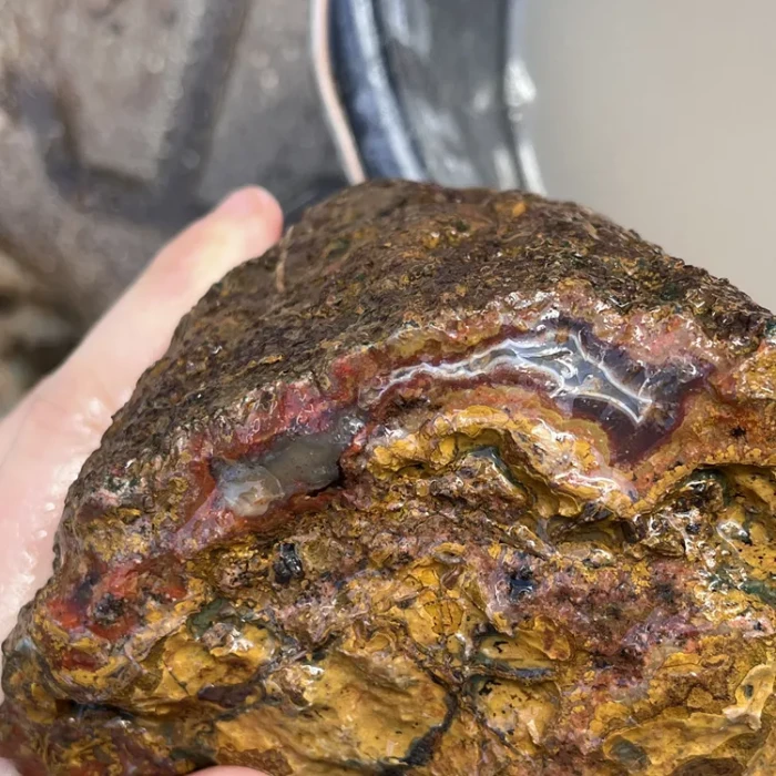 rough-agate-specimen-morocco-kerrouchen (35) (Copy).webp
