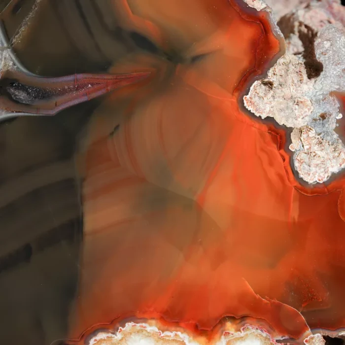 agate-condor-argentina-specimen (14).webp