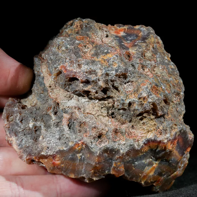 agate-condor-argentina-specimen (73).webp