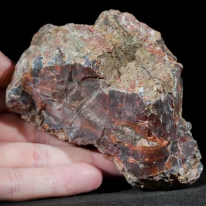 agate-condor-argentina-specimen (9).webp