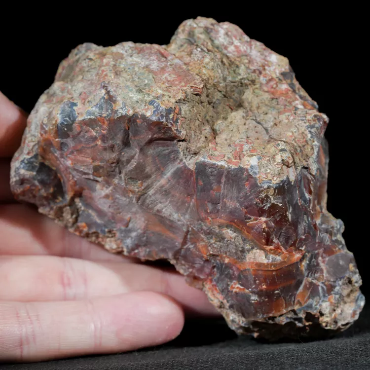 agate-condor-argentina-specimen (9).webp