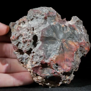 agate-condor-argentina-specimen (3).webp
