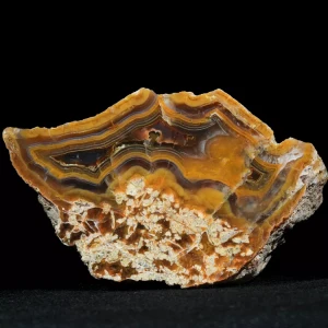 drzewo-skamieniale-agat-turcja (43).webp
