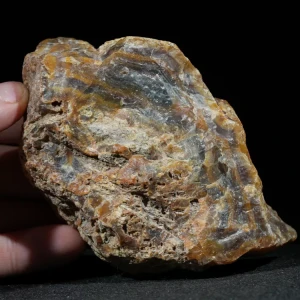 drzewo-skamieniale-agat-turcja (45).webp