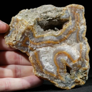 drzewo-skamieniale-agat-turcja (39).webp