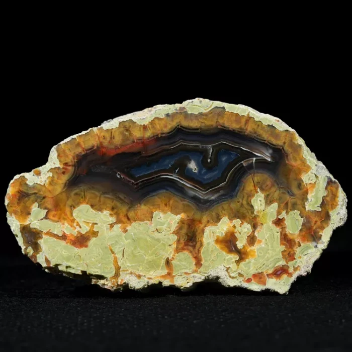 drzewo-skamieniale-agat-turcja (56).webp