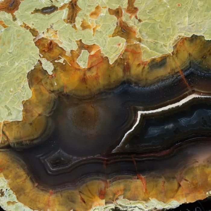 drzewo-skamieniale-agat-turcja (54).webp