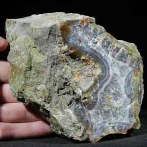 drzewo-skamieniale-agat-turcja (10).webp