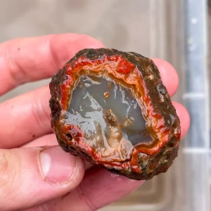 agate-morocco-rough-lapidary-specimen (48) (Copy).webp