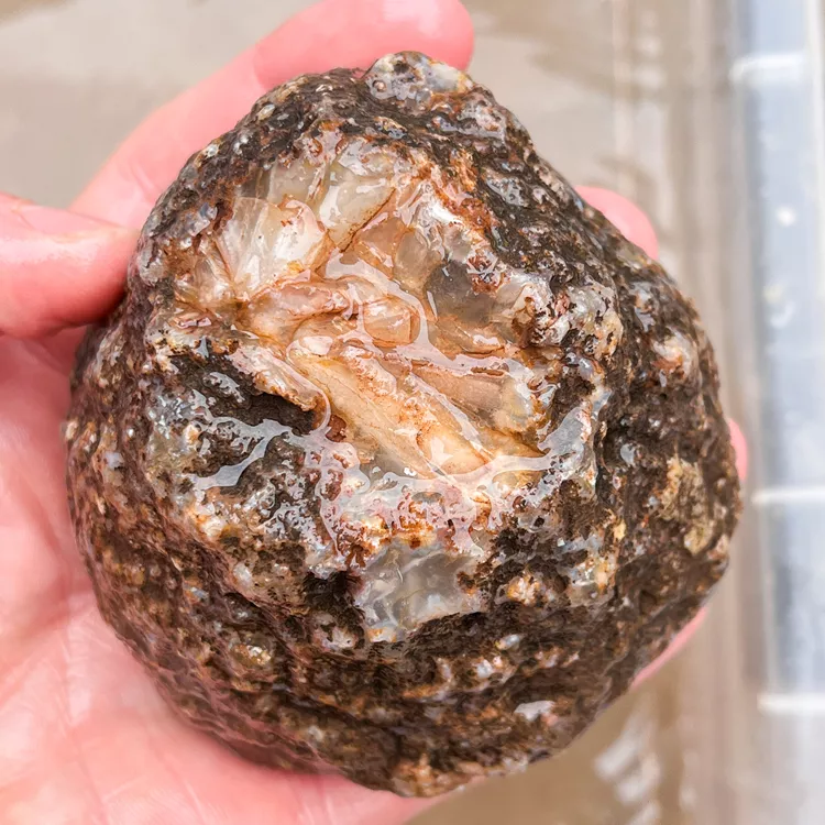 agate-morocco-rough-lapidary-specimen (49) (Copy).webp