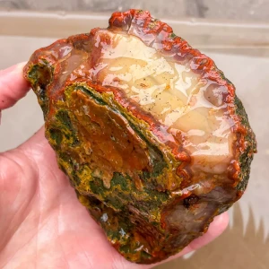 agate-morocco-rough-lapidary-specimen (53) (Copy).webp