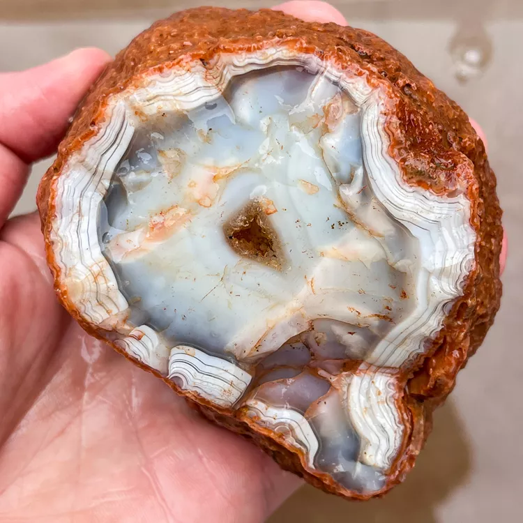agate-morocco-rough-lapidary-specimen (57) (Copy).webp