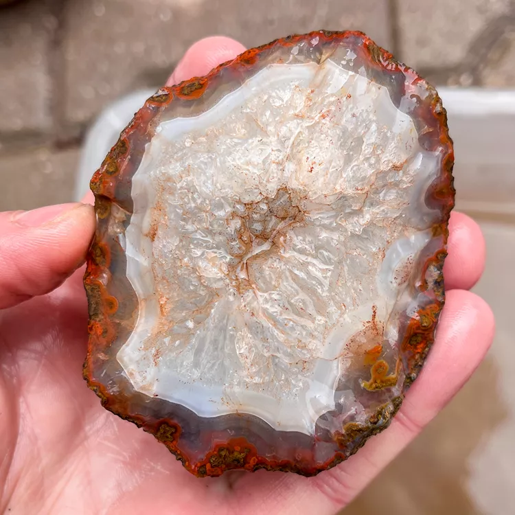 agate-morocco-rough-lapidary-specimen (41) (Copy).webp