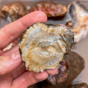 agate-morocco-rough-lapidary-specimen (25) (Copy).webp