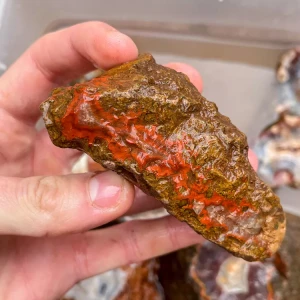 agate-morocco-rough-lapidary-specimen (26) (Copy).webp