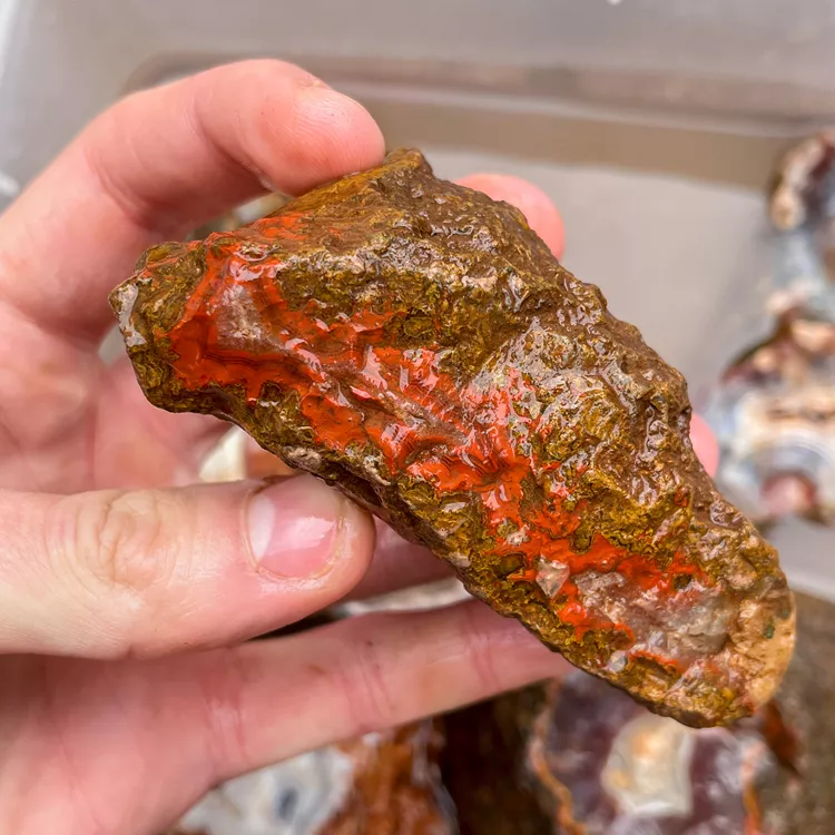 agate-morocco-rough-lapidary-specimen (26) (Copy).webp
