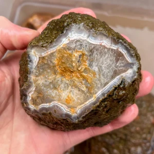 agate-morocco-rough-lapidary-specimen (28) (Copy).webp