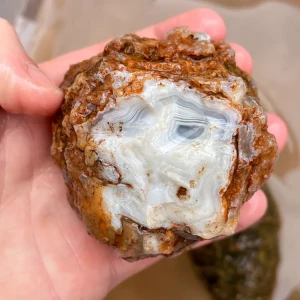 agate-morocco-rough-lapidary-specimen (33) (Copy).webp