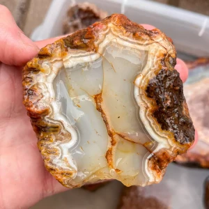 agate-morocco-rough-lapidary-specimen (19) (Copy).webp