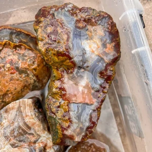 agate-morocco-rough-lapidary-specimen (2) (Copy).webp