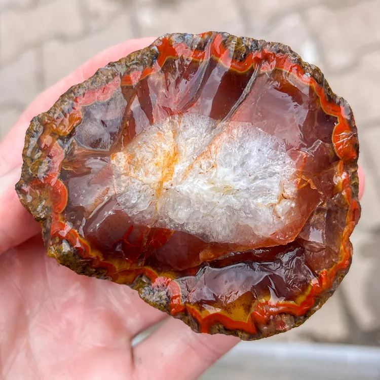 agate-morocco-rough-lapidary-specimen (10) (Copy).webp