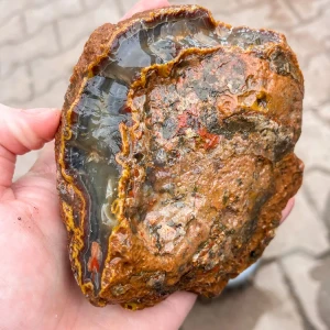 agate-morocco-rough-lapidary-specimen (11) (Copy).webp